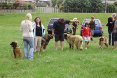 Leo Xmas Picnic 014_jpg