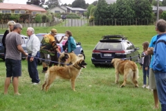 Leo Xmas Picnic 015_jpg
