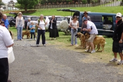 Leo Xmas Picnic 021_jpg
