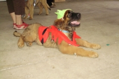 Leo Xmas Picnic 027_jpg