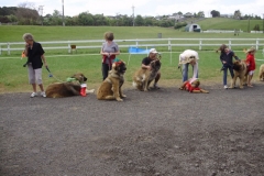 Leo Xmas Picnic 030_jpg