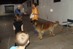 Leo Xmas Picnic 037_jpg