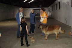 Leo Xmas Picnic 038_jpg