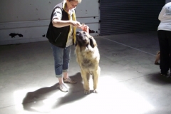 Leo Xmas Picnic 041_jpg