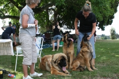 My turn yet 3_JPG