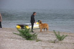 IMG_9017_jpg
