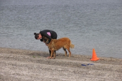IMG_9032_jpg
