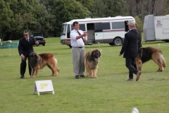 Breeder3_jpg