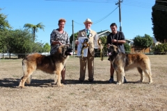Copy of IMG_1923_jpg