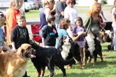 Bernese match 3